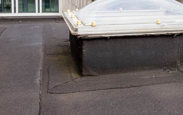 disadvantages of Shrewley flat roofs
